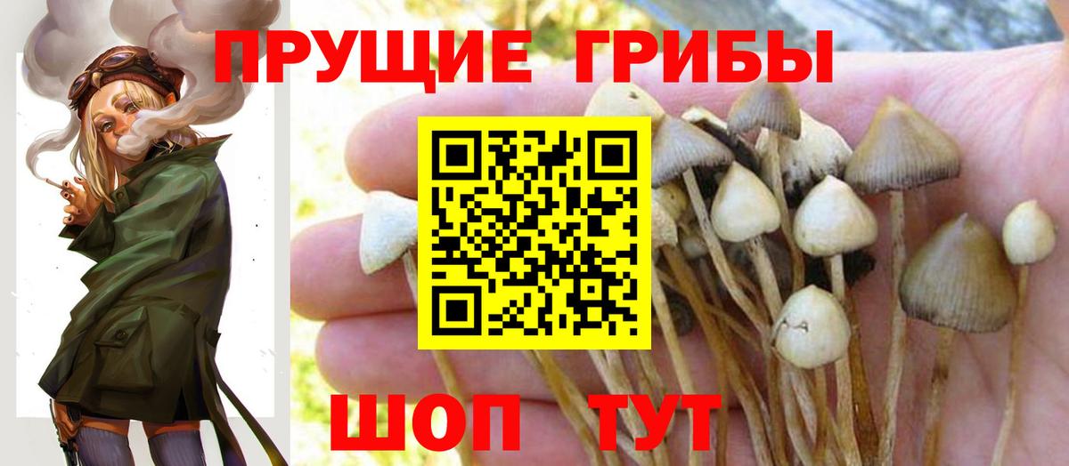 Псилоцибиновые грибы Psilocybe  Галлюциногенные грибы Psilocybine cubensis  Балашиха  Вход с VPN 